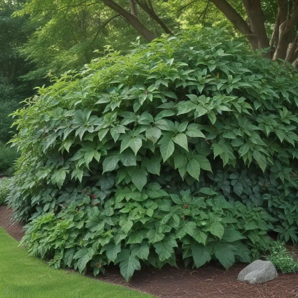 Plant Shady Areas with Ornamental Foliage