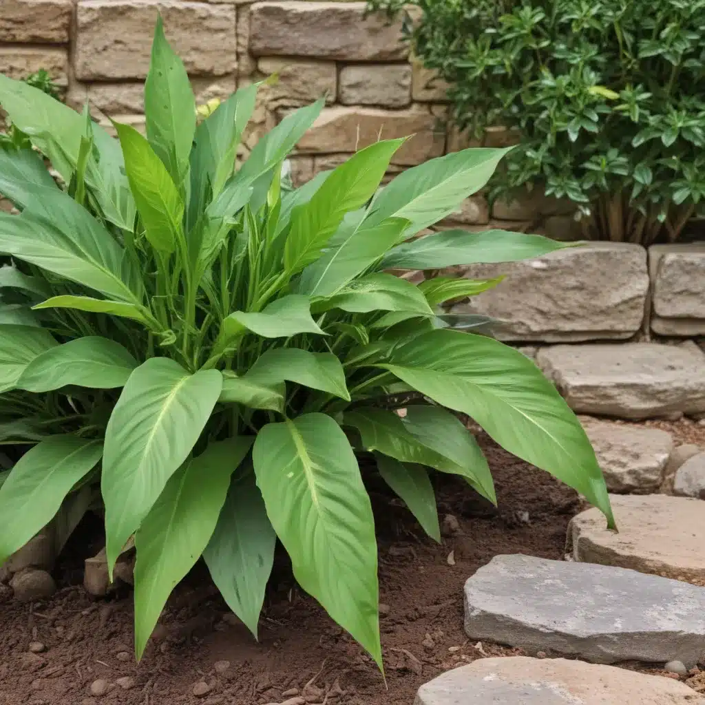 Indestructible Plants For Tricky Spots Indestructible Plants For Tricky Spots