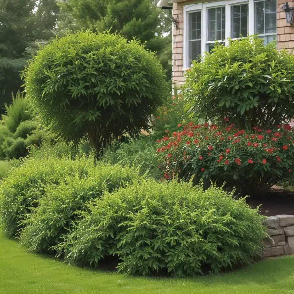 Plant Shrubs For Structure And Privacy