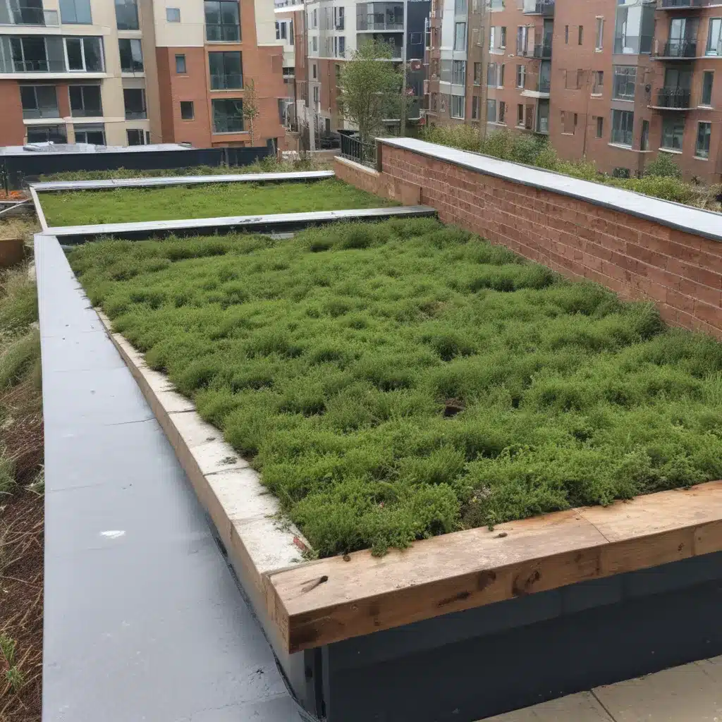 Planting A Green Roof To Absorb Rainwater